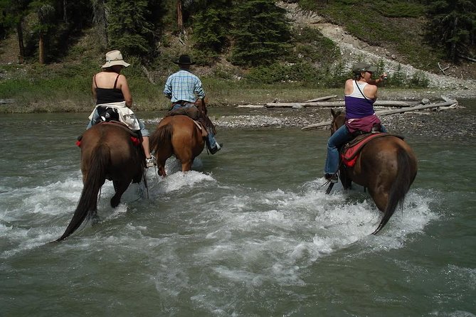 Horse Riding Experience in Marmaris with Transfer - The Briefing That Sets You Up: Helmets, Mounting, and Weight-Matching