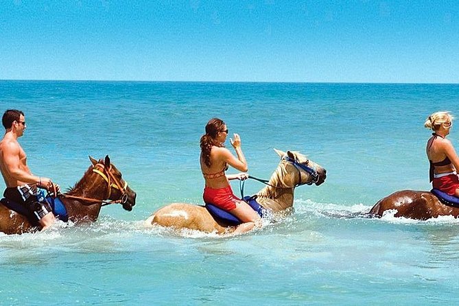 Horse Riding From Kusadasi Port / Hotels - Key highlights to know before you go