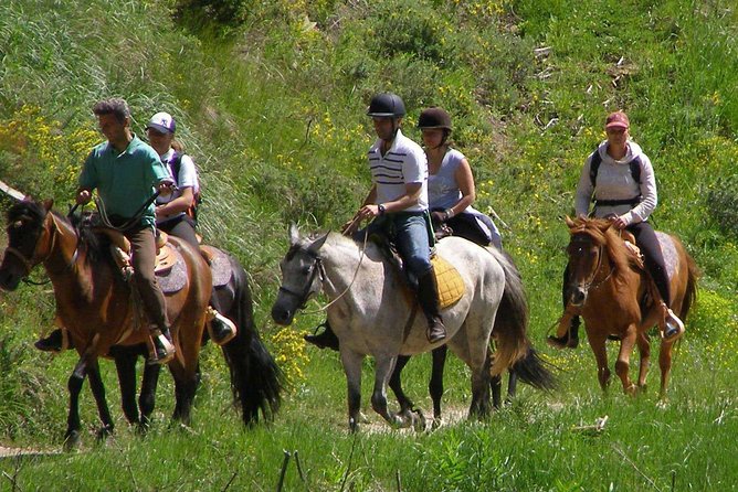 Horse Riding From Kusadasi Port / Hotels - Horse riding from Kusadasi that takes you beyond the stables