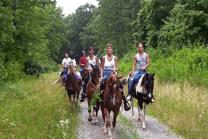 Horse Riding From Kusadasi Port / Hotels - Practical tips: what to wear and how to avoid surprises in the sea