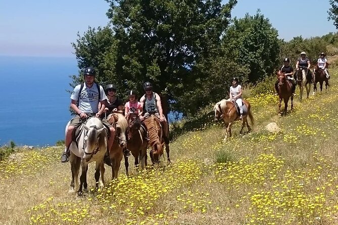 Horse Riding in Fethiye - Key things to know before you go