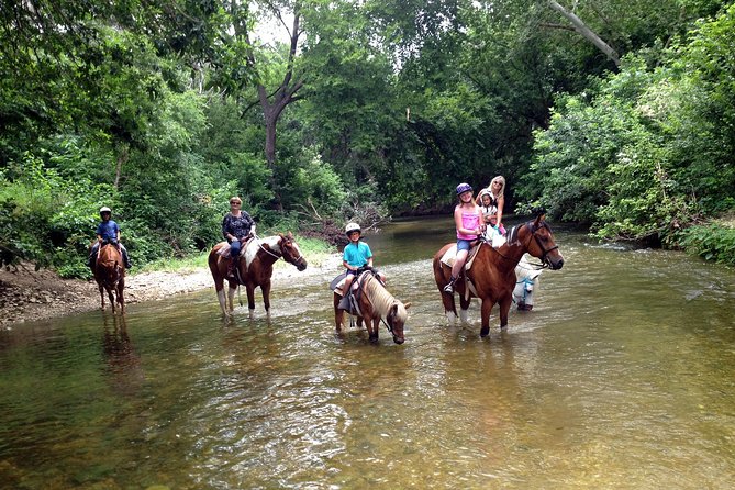 Horse Riding in Fethiye - What to watch for: common complaints and how to protect your day