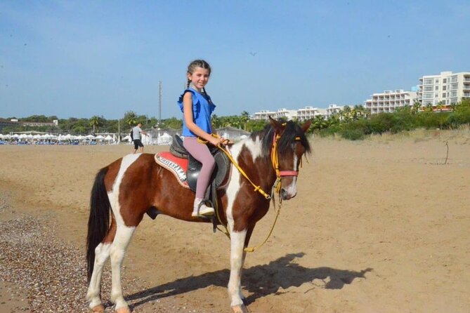Horse Riding in Manavgat Side Forest and Beach - What Happens Once You Arrive at the Horse Club