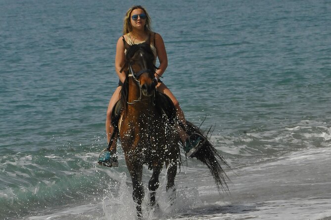Horse Riding in Manavgat Side Forest and Beach - Photos, Horses, and Little Extras That Change the Mood