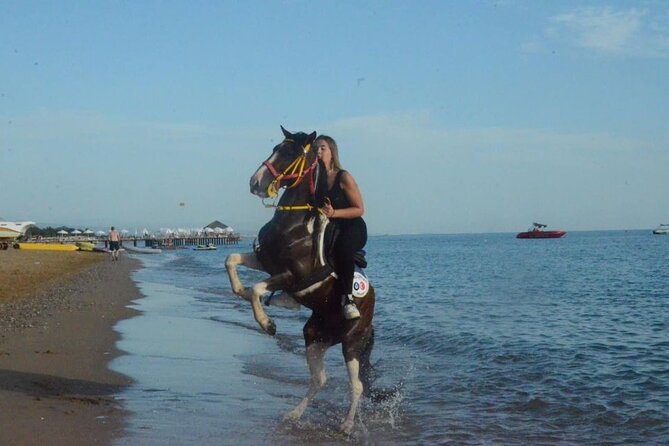 Horse Riding in Manavgat Side Forest and Beach - Forest Trail Or Beach Option: Picking Your Route