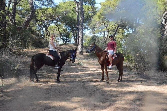 Horse Riding in Side - Horse Tour in Manavgat Forest and Beach - Key Highlights You’ll Feel Right Away