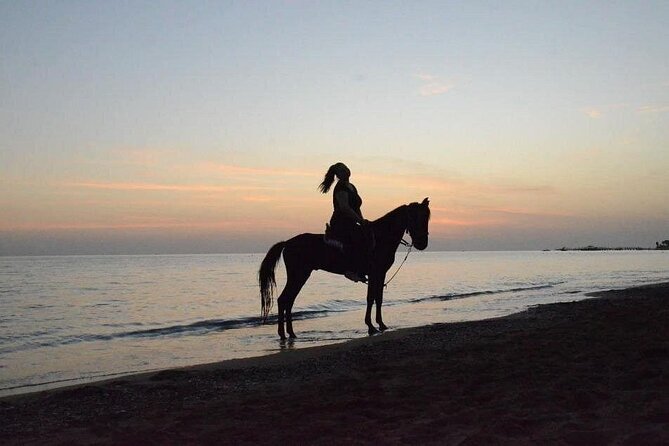 Horse Riding in Side - Horse Tour in Manavgat Forest and Beach - The Instructor and Horse Care: Why This Tour Feels Safer