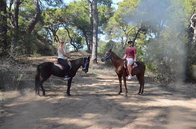 Horse Riding in Side - Horse Tour in Manavgat Forest and Beach - Price and Value: Is $60.49 for 2 Hours Fair?