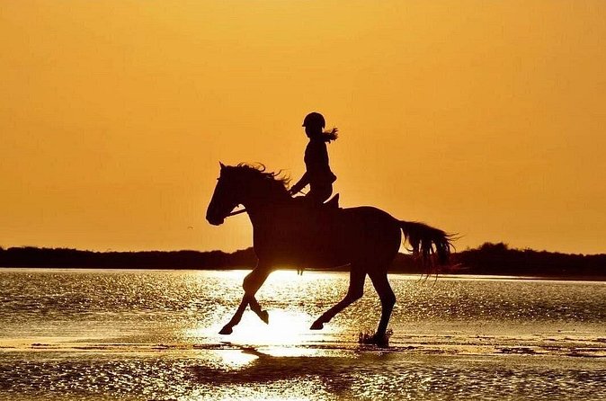 Horse Riding in Side - Horse Tour in Manavgat Forest and Beach - Photos Without Pressure: The Professional Picture Option