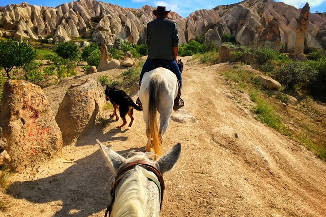 Horse Riding in the Valleys of Cappadocia - Horses and Handlers: Trained for a Calm Ride (Not a Thrill Sprint)