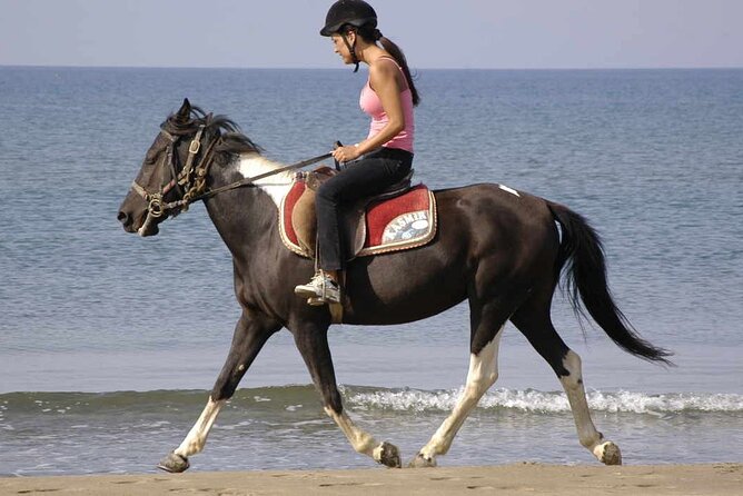 Horse Riding on the Beach in Side - The Forest Route: Pine Trails, a River Break, and Calm Riding