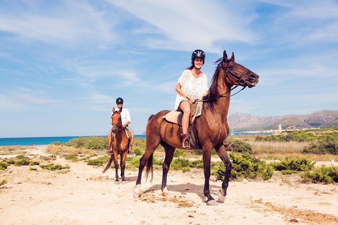 Horse Riding on the Beach in Side - Group Size and Guidance: Why This Is a Better Setup Than a Mass Ride