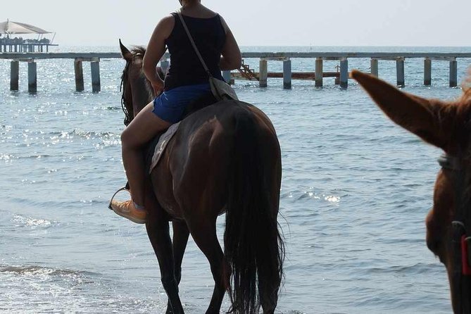 Horse Riding on the Beach in Side - Side’s Horse Ride: What You’re Actually Signing Up For