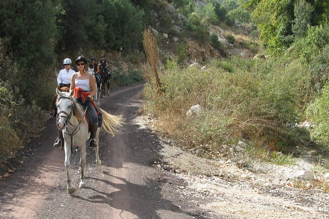 Horse Riding Tour in Bodrum with Hotel Pick Up - Key things that make this Bodrum ride worth it