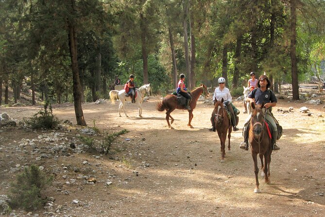 Horse Riding Tour in Bodrum with Hotel Pick Up - The weather reality: rain can change the schedule