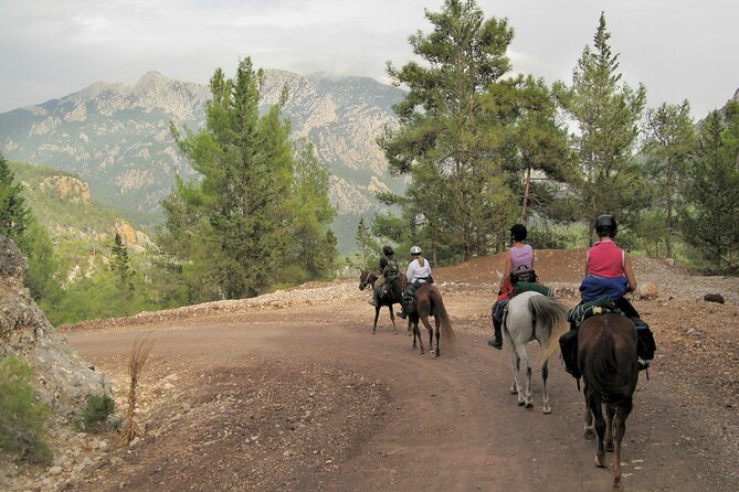 Horse Riding Tour in Bodrum with Hotel Pick Up - Comfort tips that matter more than you’d think