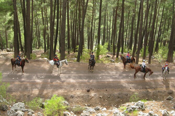 Horse Riding Tour in Bodrum with Hotel Pick Up - How much you’re paying, and whether it’s good value