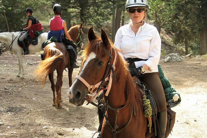 Horse Riding Tour in Bodrum with Hotel Pick Up - Who this tour suits best (and who might rethink it)