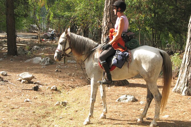 Horse Riding Tour in Bodrum with Hotel Pick Up - What happens at the ranch: helmets, instructions, and getting matched to a horse