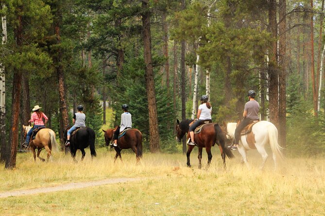 Horse Riding Tour in Marmaris - Key things to know before you ride