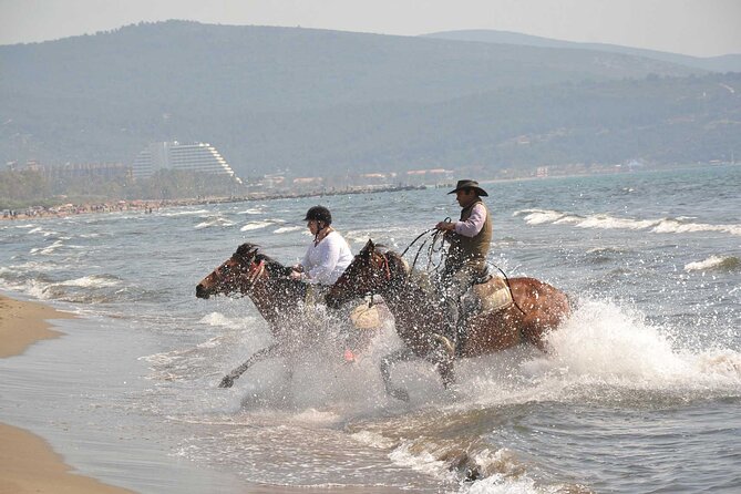 Horseback Riding From Kusadasi Port For Cruise Guests - Key things to know before you go