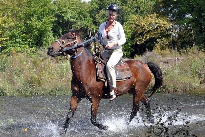 Horseback Riding From Kusadasi Port For Cruise Guests - Port Pickup and the Name-Board Check