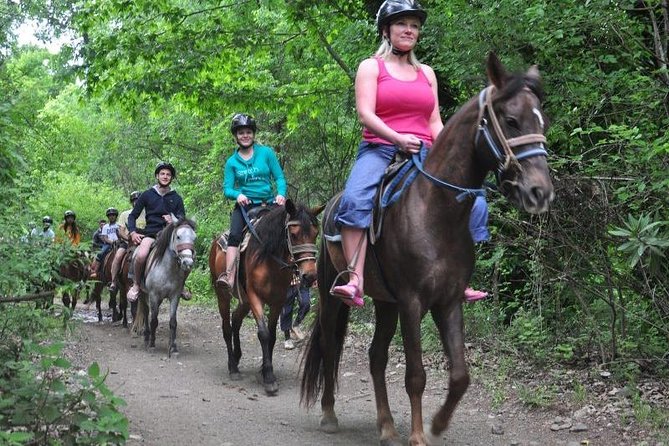 Horseback Riding From Kusadasi Port For Cruise Guests - Horse Size, Mounting Style, and Comfort Tips