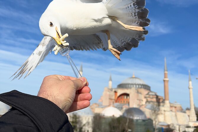 Imperial Traces of Istanbul – Private Guided Signature Tour - Stop 3: Topkapi Palace Without the Overwhelm (Big Stop, Add-On Entry)