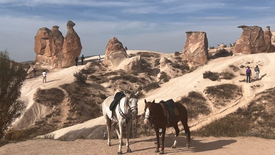 Istanbul: 2-Day Cappadocia Trip with Optional Balloon Flight - Logistics to Watch: Pickup Timing, Where You Meet, and Comfort