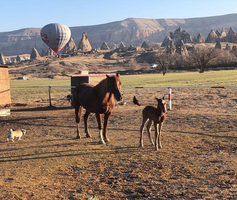 Istanbul: 2-Day Trip to Cappadocia with Flights & Lunchs - Balloon dreams and other add-ons in Cappadocia