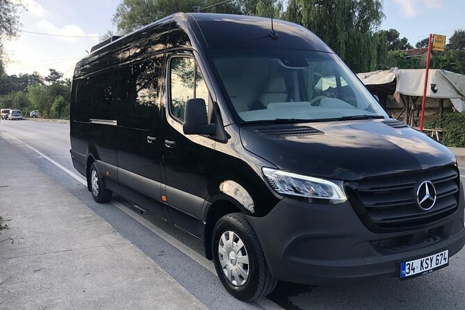 Istanbul Airport (IST) Private VIP Transfer with Mercedes - Inside the Airport: Meet & Greet and Luggage Help