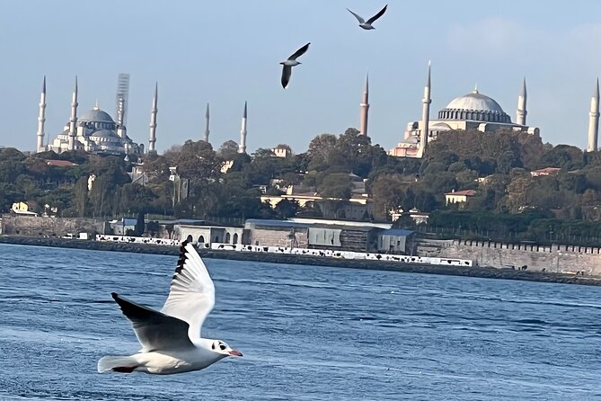Istanbul Airport or Cruise Ship Private Layover Tour - Who This Tour Suits Best (and Who Might Want a Different Plan)