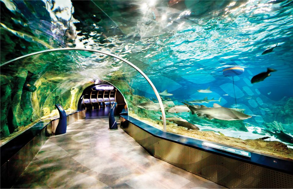Istanbul Aquarium and Aqua Florya Shopping Mall Tour - Istanbul Aquarium at Aqua Florya: what this 5-hour loop feels like