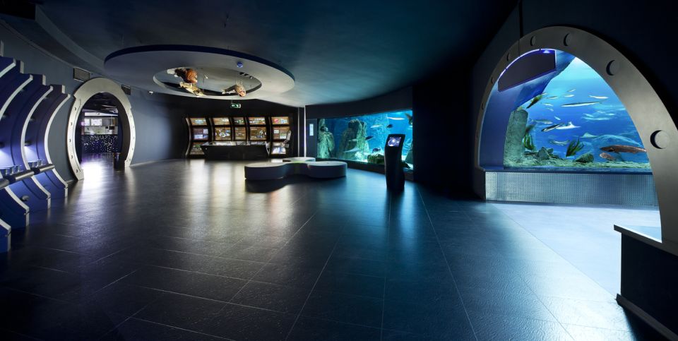 Istanbul Aquarium and Aqua Florya Shopping Mall Tour - Aqua Florya shopping time: use it for food or a quick reset