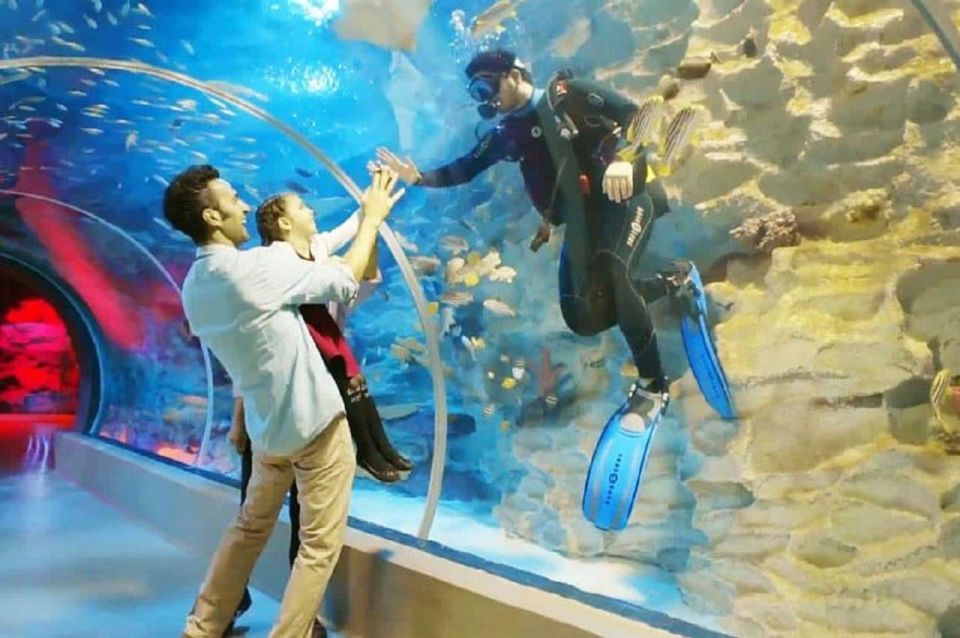 Istanbul Aquarium and Aqua Florya Shopping Mall Tour - Price and value: $177 for a short, structured day