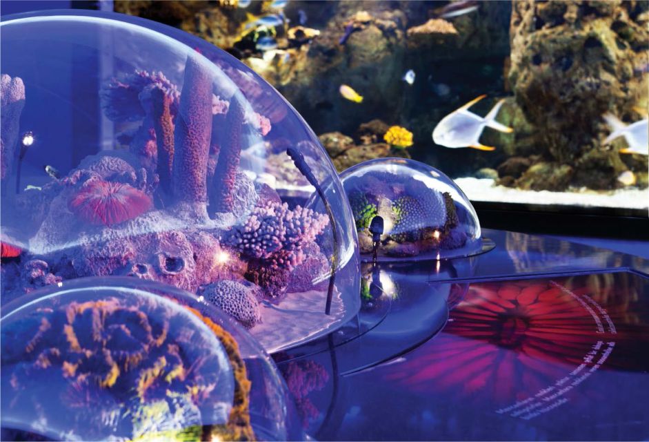 Istanbul Aquarium and Aqua Florya Shopping Mall Tour - Transfers from the European side: smooth when you confirm the plan