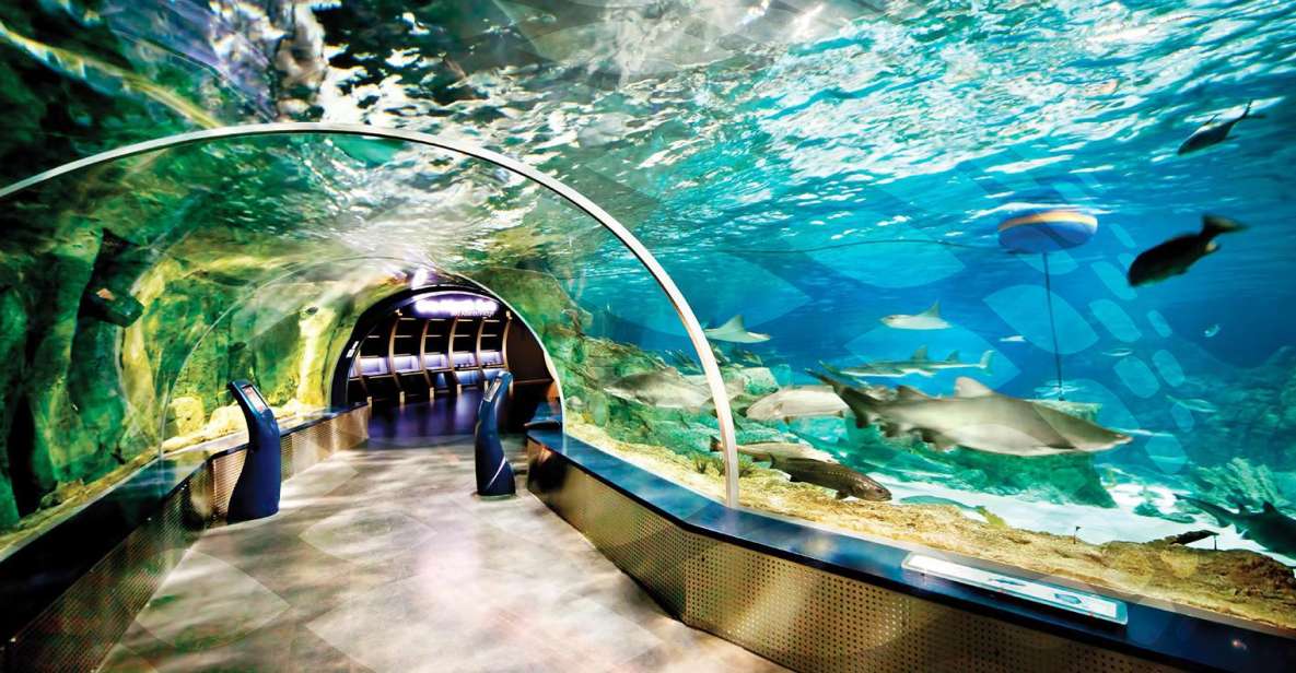 Istanbul Aquarium and Aqua Florya Shopping Mall Tour - Entering Istanbul Akvaryum: the themed route from Black Sea to Pacific