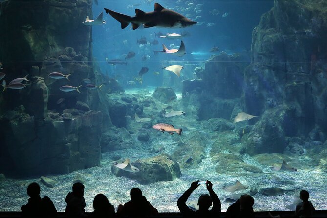 Istanbul Aquarium and Shopping Tour with Hotel Transfers - Key Things I’d Mark on Your Map