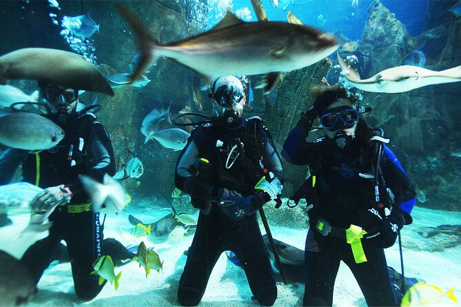 Istanbul Aquarium and Shopping Tour with Hotel Transfers - Entering Istanbul Aquarium: 17 Themed Zones in Florya