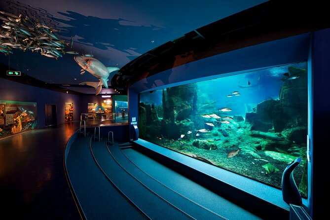 Istanbul Aquarium and Shopping Tour with Hotel Transfers - The Hotel Transfers That Make It Feel Easy
