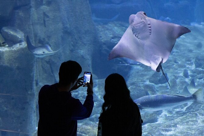 Istanbul Aquarium and Shopping Tour with Hotel Transfers - Shopping Time: Browsing With a Real Time Window