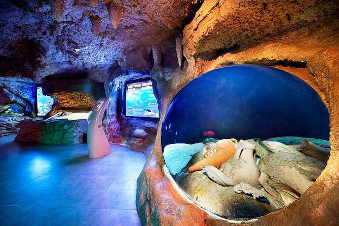 Istanbul Aquarium and Shopping Tour with Hotel Transfers - What the 4–8 Hour Timing Means for Your Day