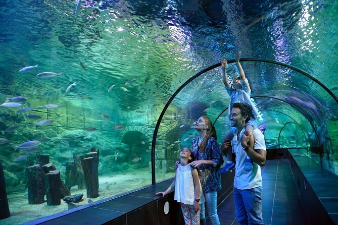 Istanbul Aquarium and Shopping Tour with Hotel Transfers - Ocean Tunnel Magic and the Penguin Moment