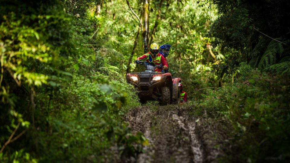 Istanbul: Belgrad Forest ATV Tour with Ziplining Option - Pickup in Sultanahmet or Taksim: Timing Tips That Save Stress