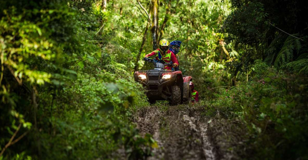 Istanbul: Belgrad Forest ATV Tour with Ziplining Option - The ATV Ride Through the Forest Edge: Mud, Dust, and Wildlife Spotting