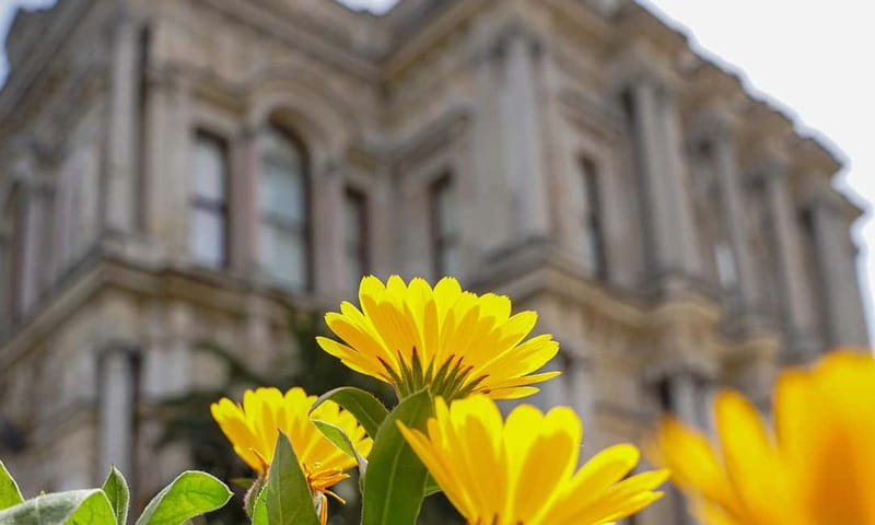 Istanbul: Beylerbeyi Palace Skip-the-Line Ticket & Audio … - FAQ