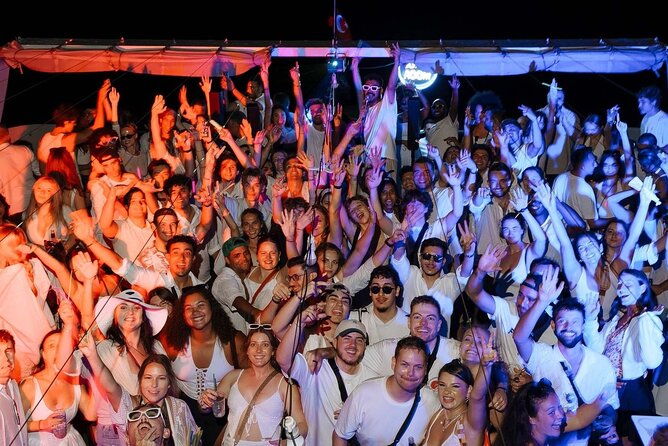 Istanbul Bosphorus Boat Party with Live DJs - Price and Value: What You Get for an Evening Out