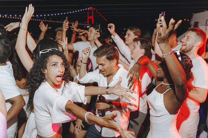 Istanbul Bosphorus Boat Party with Live DJs - Should You Book This Istanbul Bosphorus Boat Party?