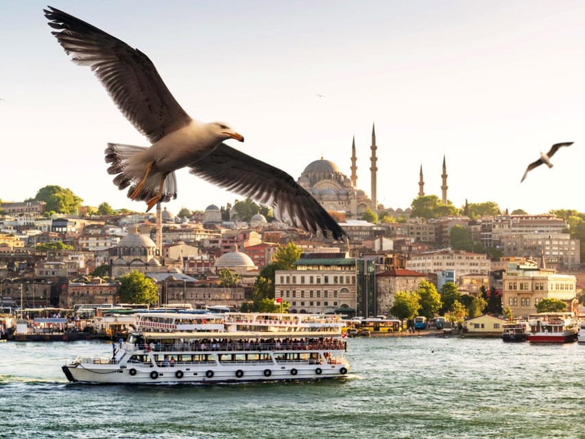 Istanbul: Bosphorus Dinner Cruise with Private Table & Show - The show lineup: Turkish folk, whirling dervish, and flamenco