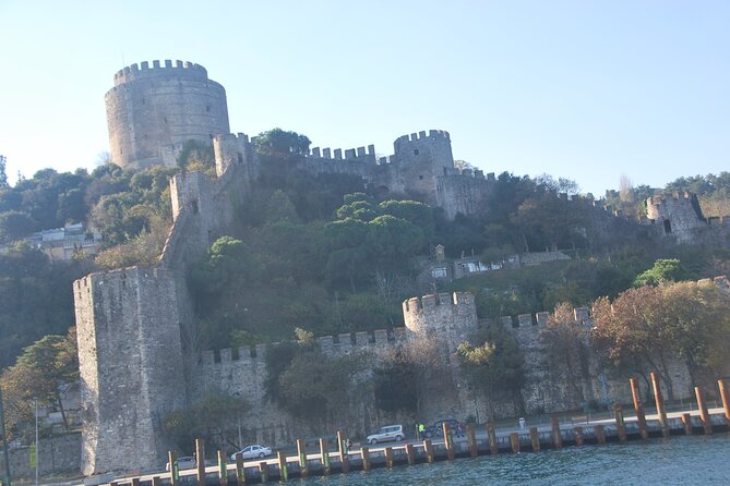 Istanbul: Bosphorus Tour With Whirling Dervish Show - Bosphorus Route: From the Golden Horn to the Palaces and Bridges